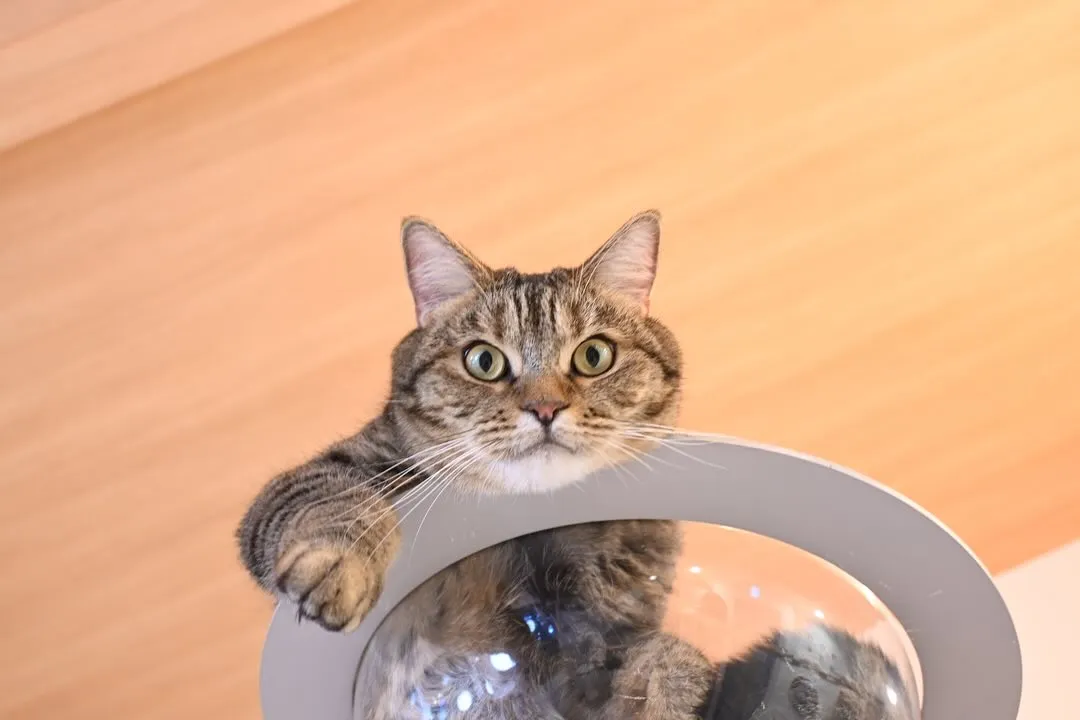投稿の写真3