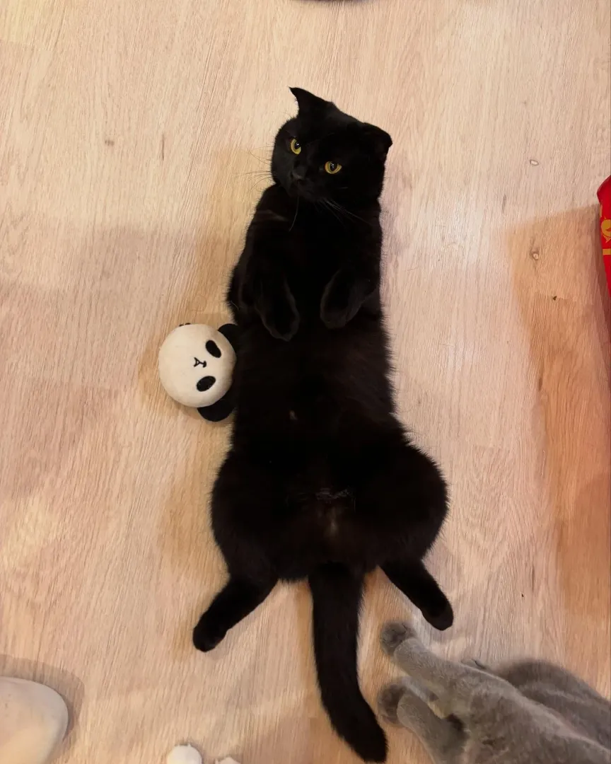 投稿の写真5