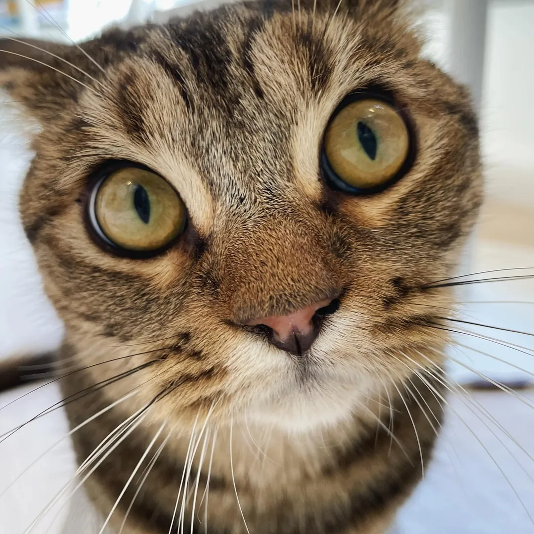 投稿の写真3