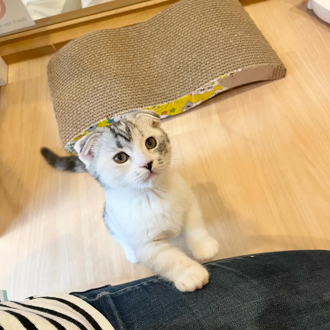 投稿の写真2