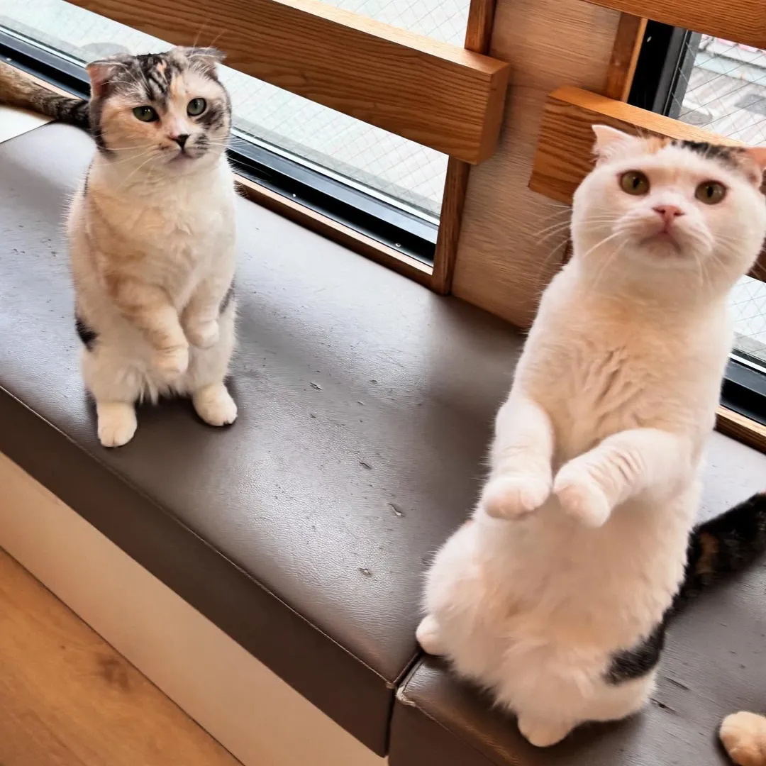 投稿の写真3