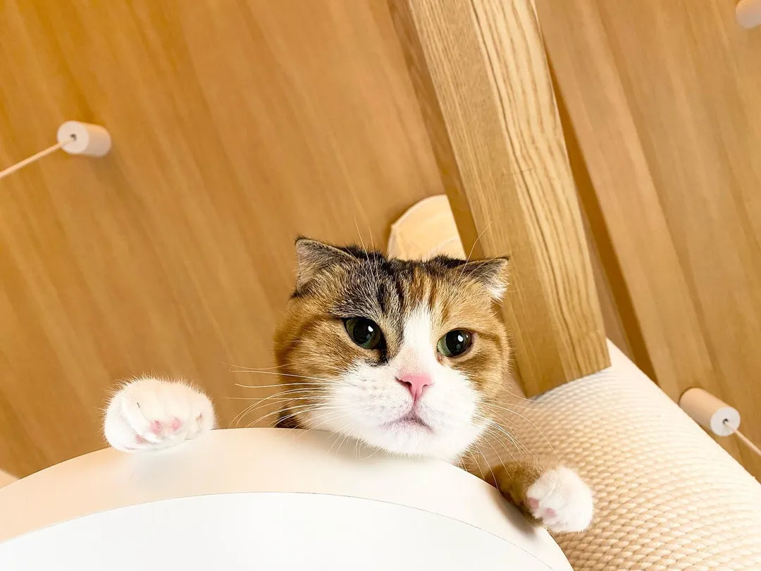 投稿の写真5