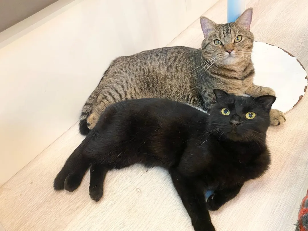 投稿の写真