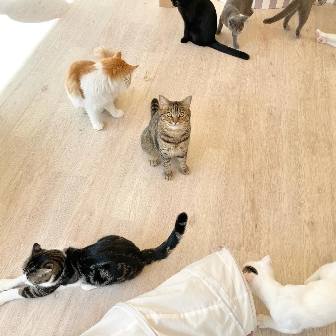 投稿の写真2