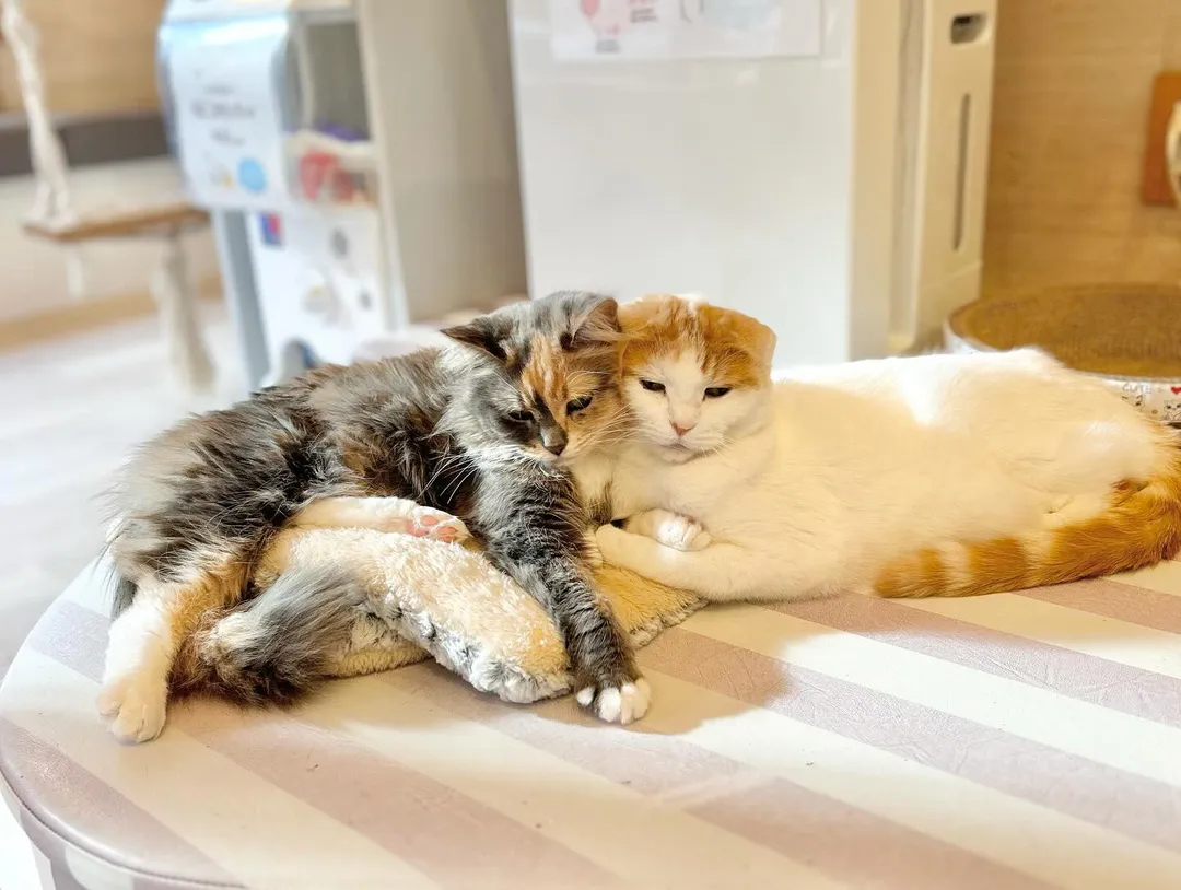 投稿の写真2