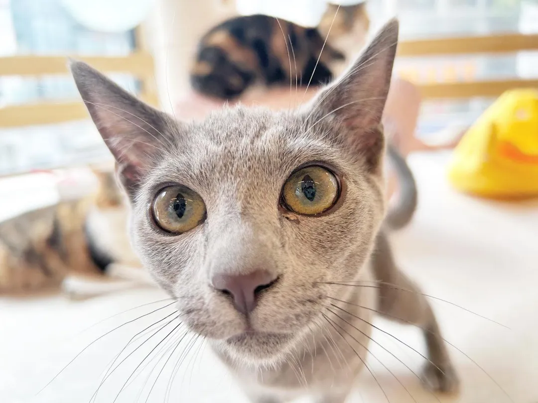 投稿の写真3