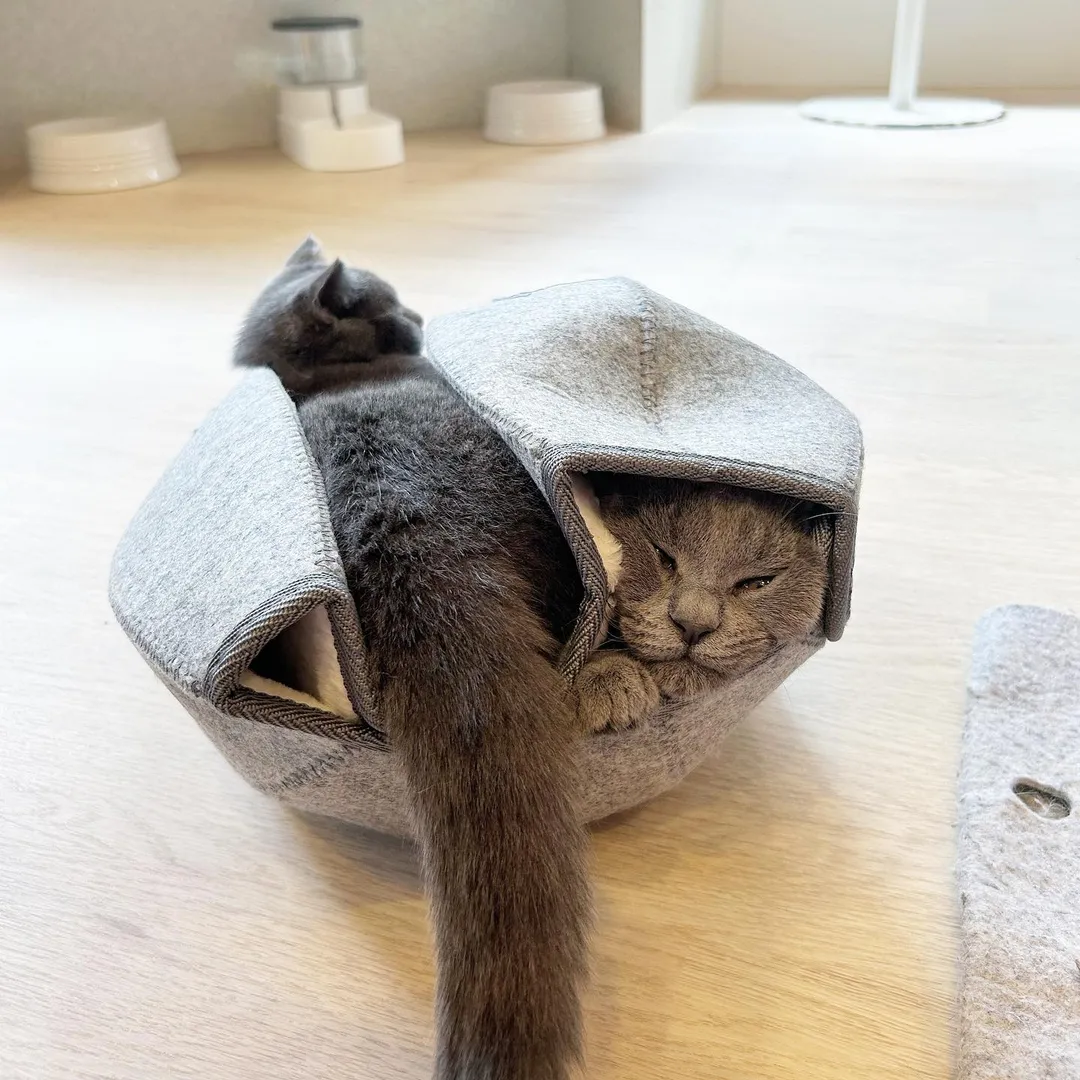 投稿の写真