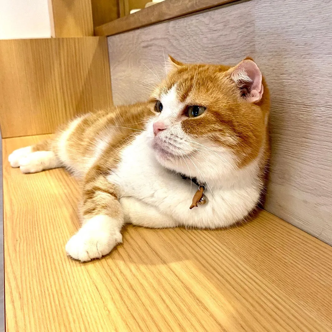 投稿の写真3