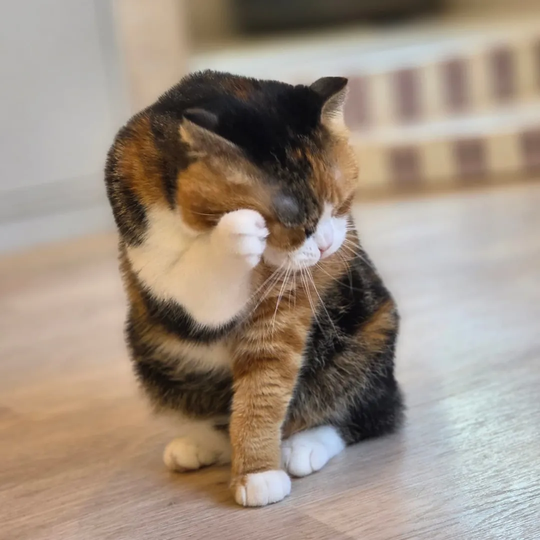 投稿の写真3