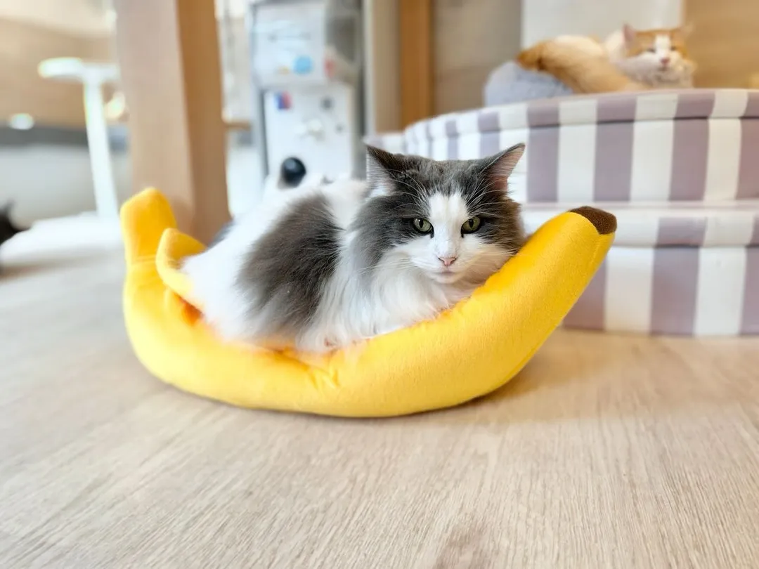 投稿の写真