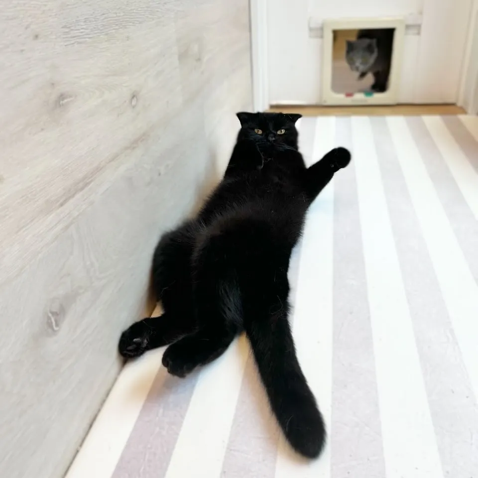 投稿の写真