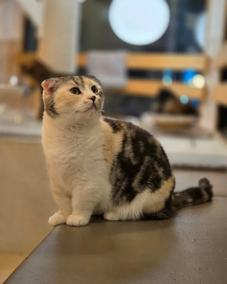 投稿の写真
