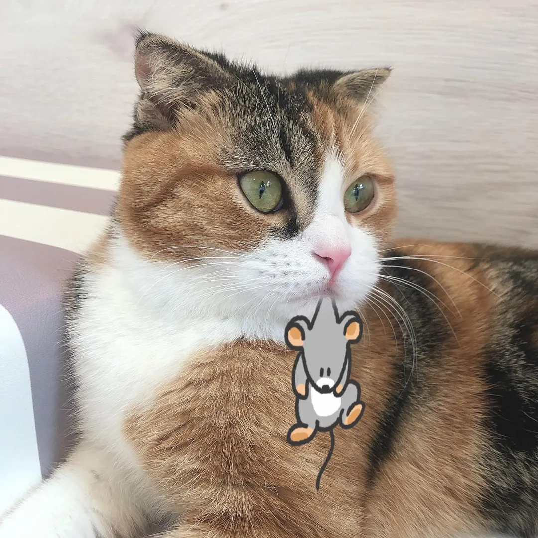 投稿の写真2