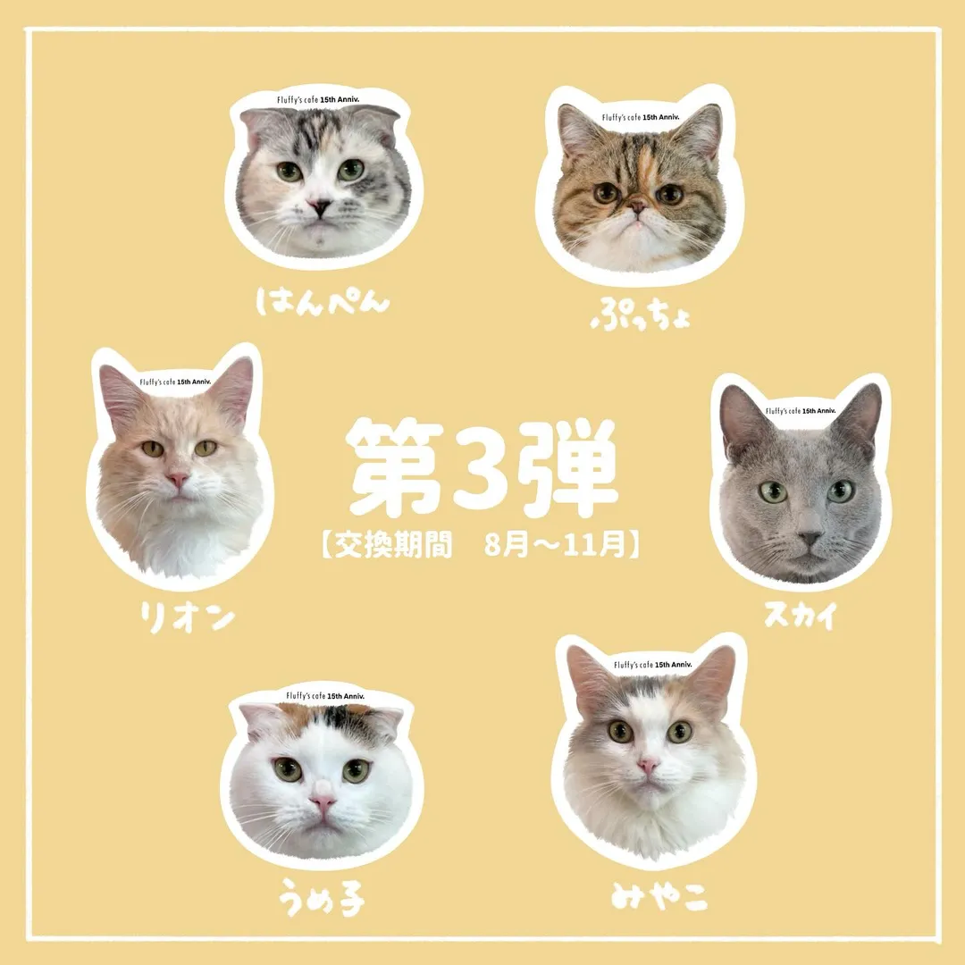 投稿の写真6