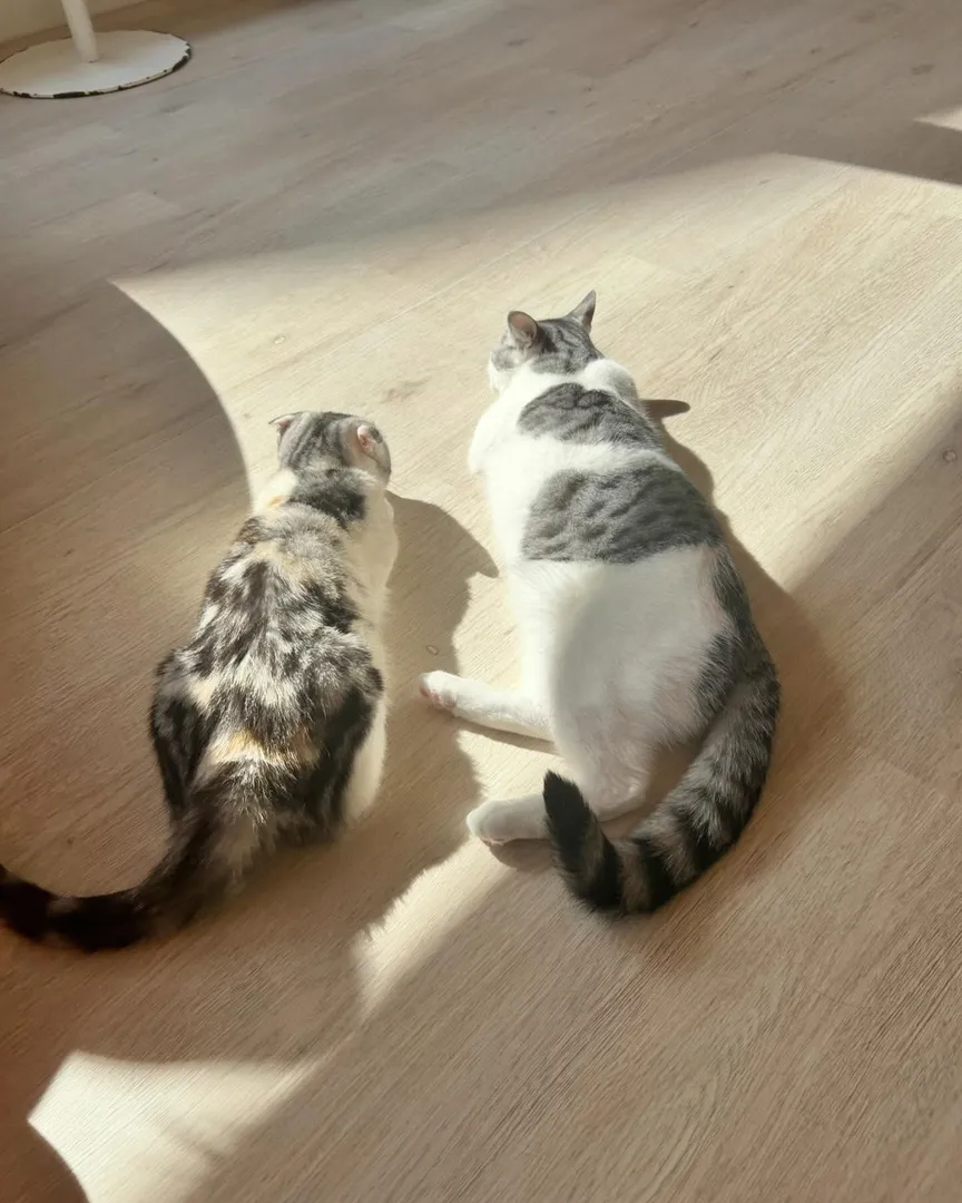 投稿の写真1