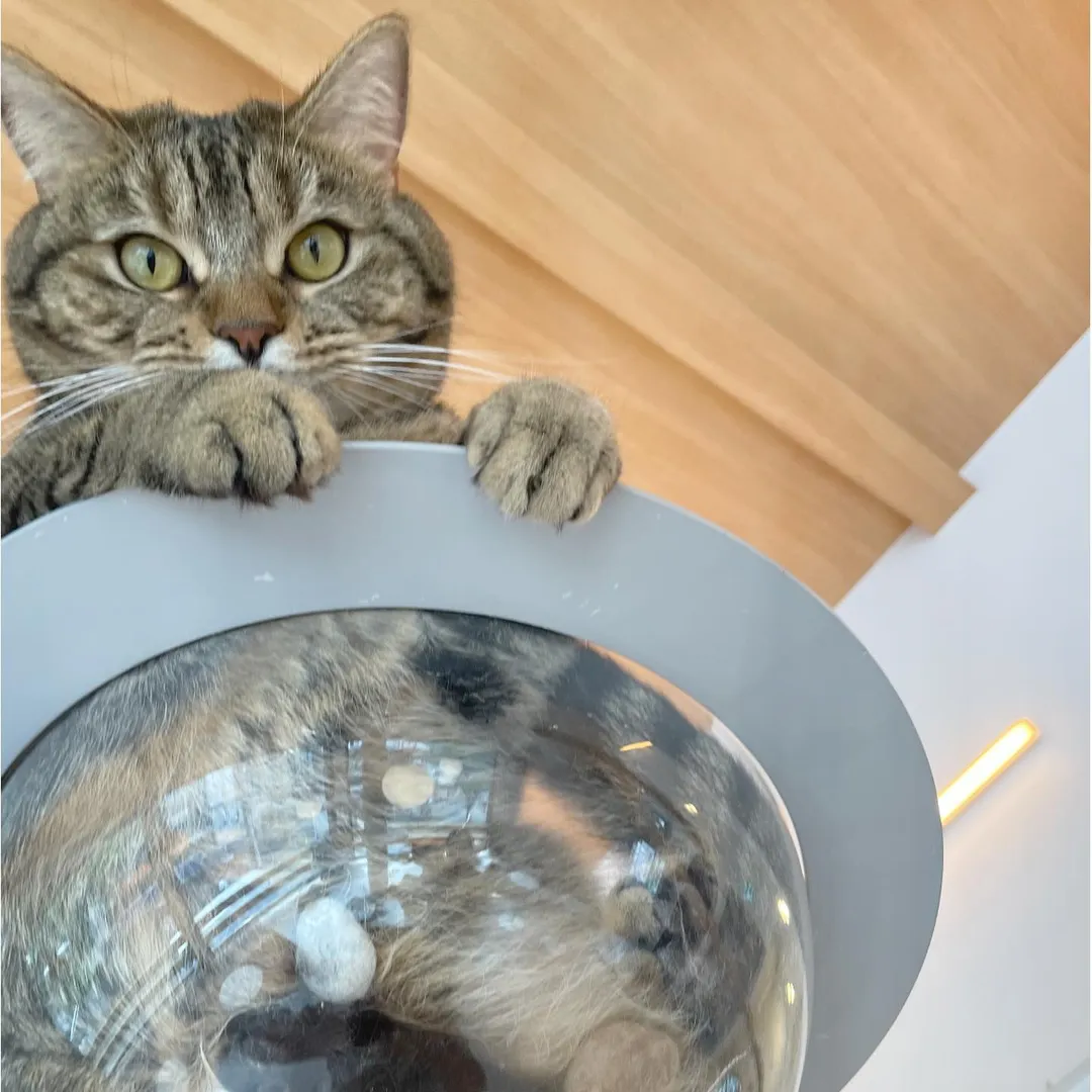 投稿の写真1