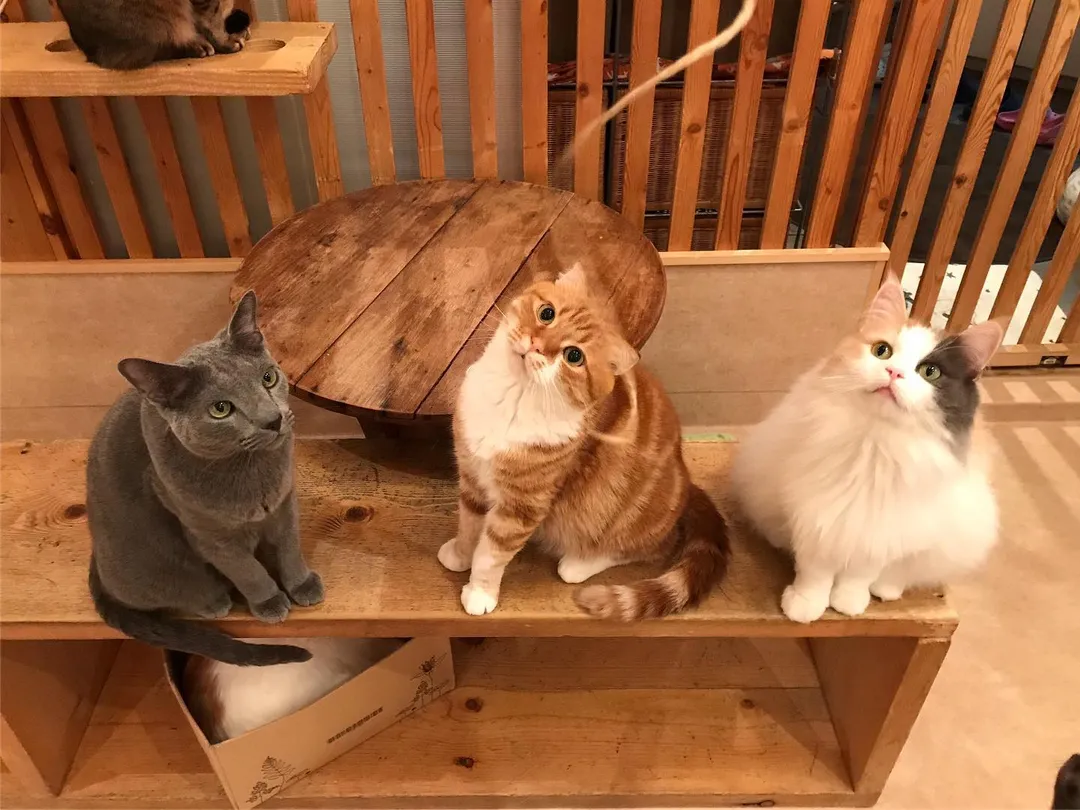投稿の写真3