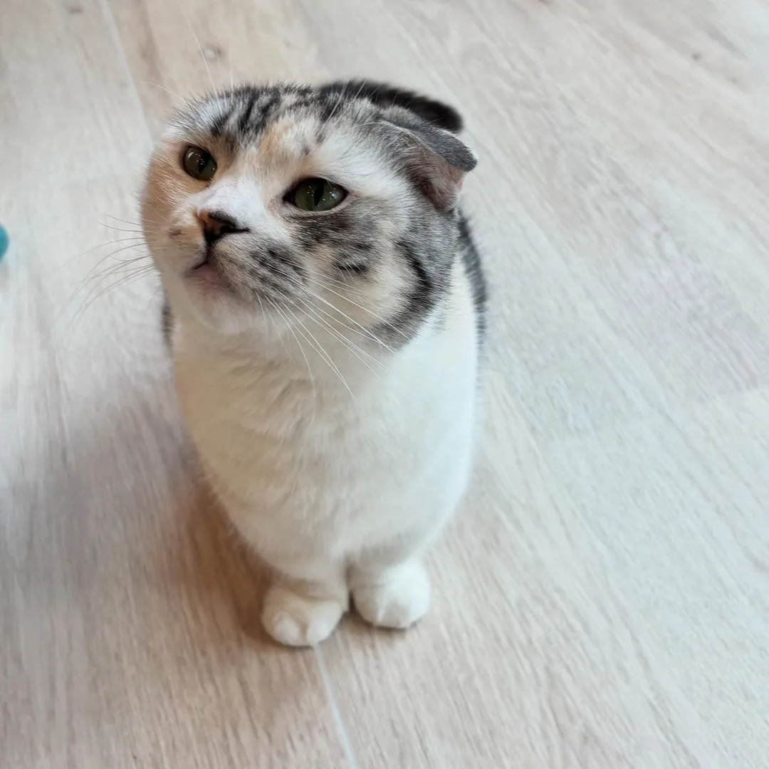 投稿の写真2