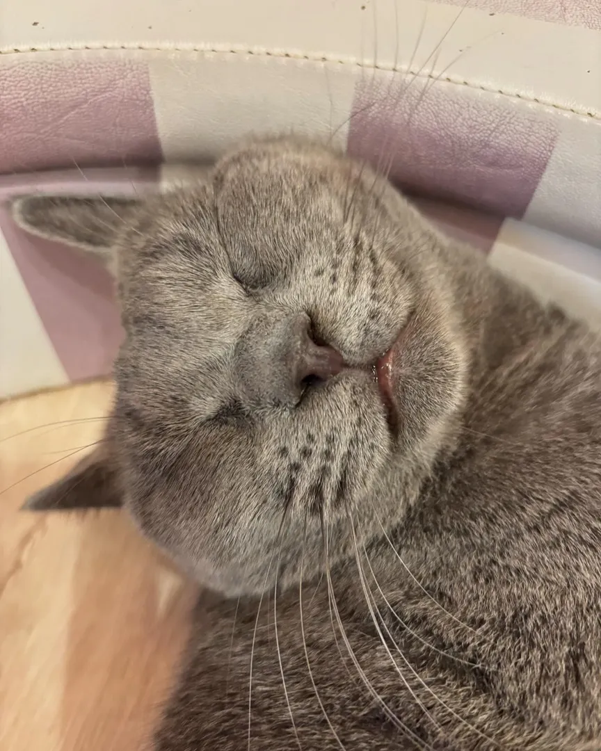 投稿の写真4