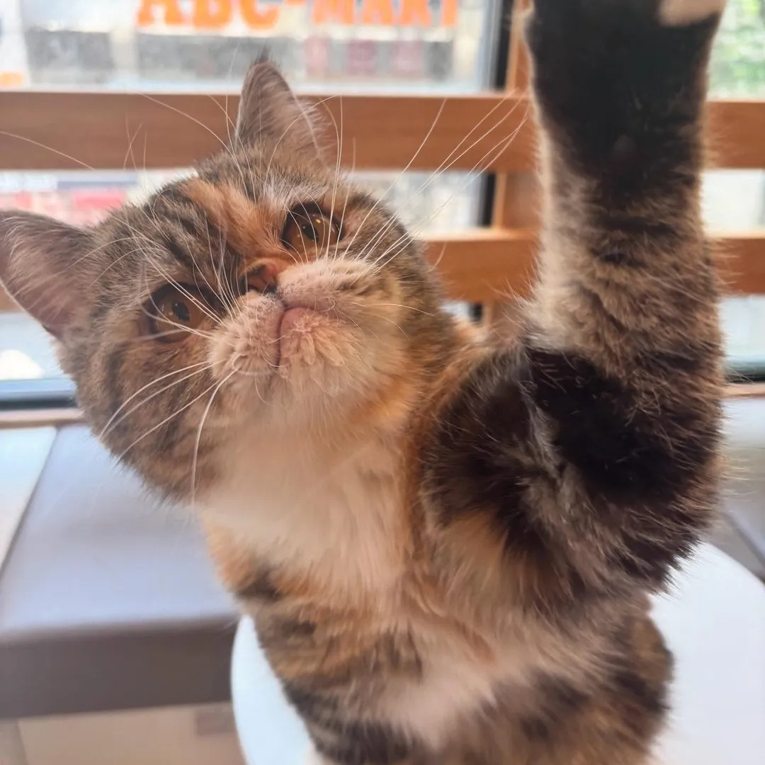 投稿の写真3