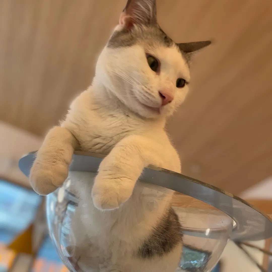 投稿の写真2