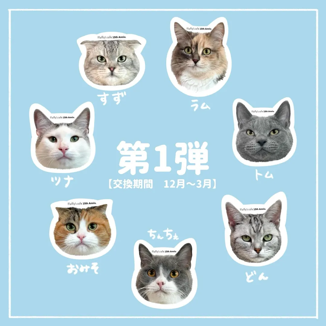 投稿の写真4