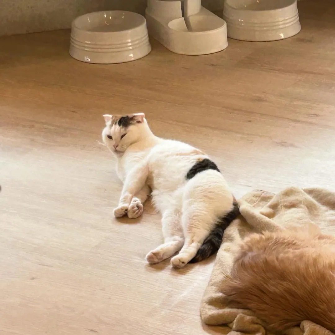 投稿の写真2
