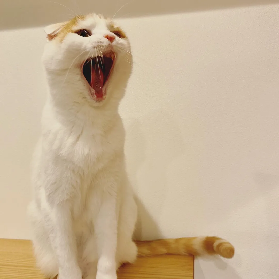 投稿の写真2