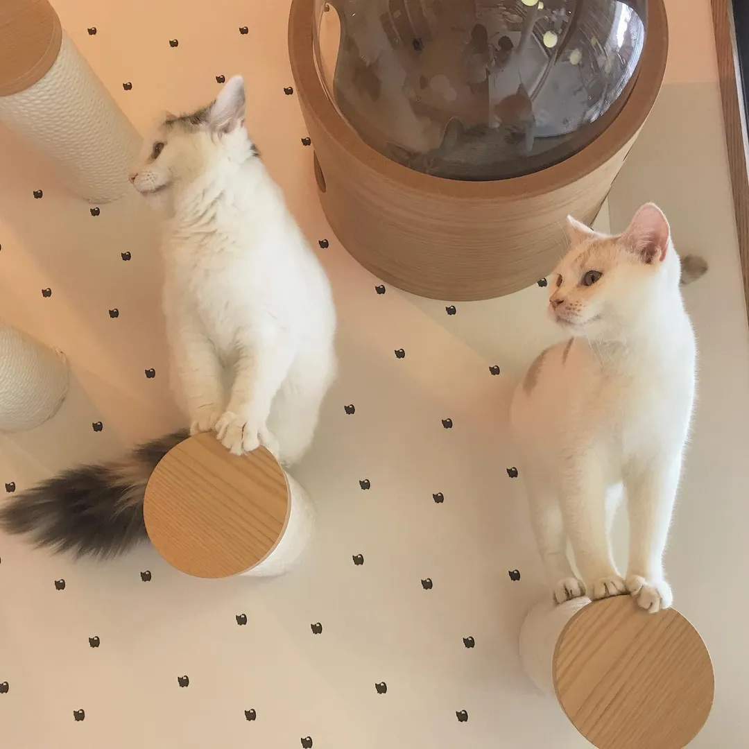 投稿の写真2