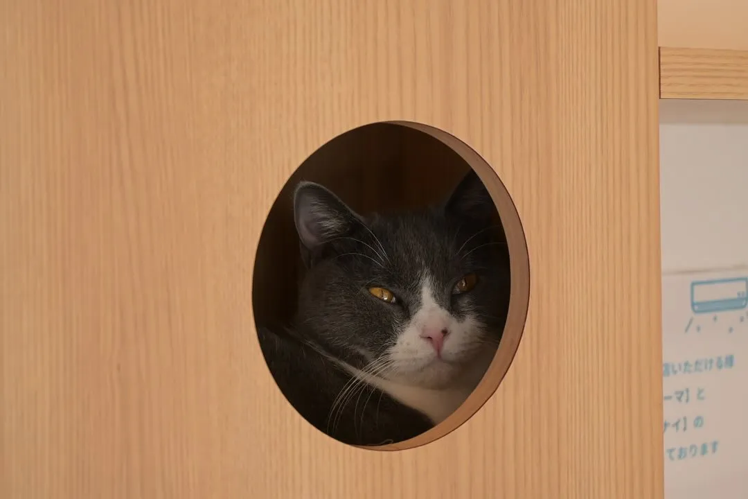 投稿の写真1