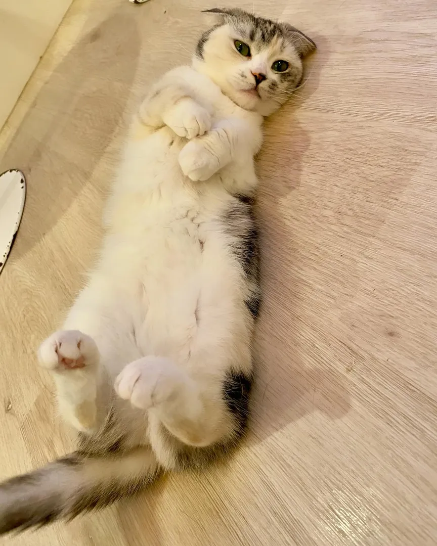 投稿の写真1