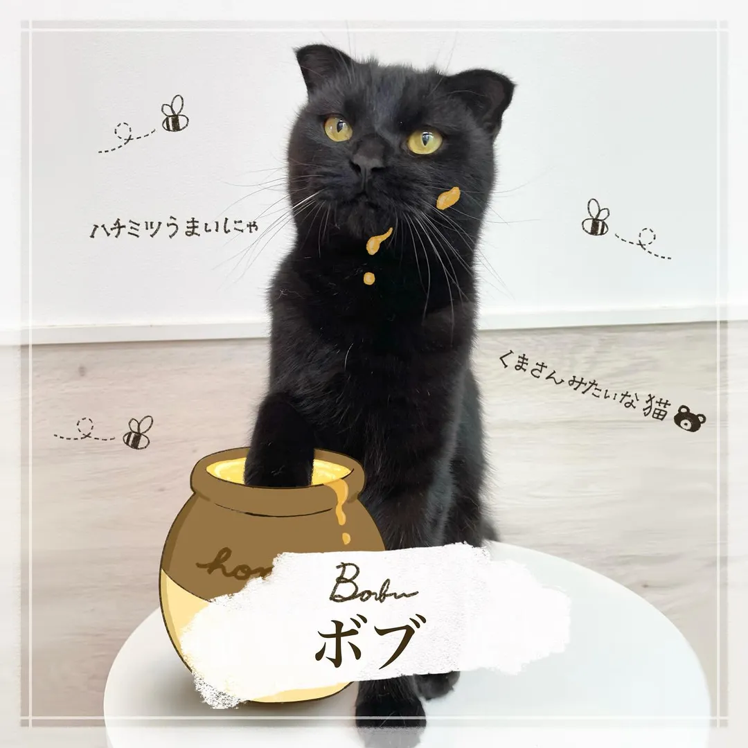 投稿の写真3