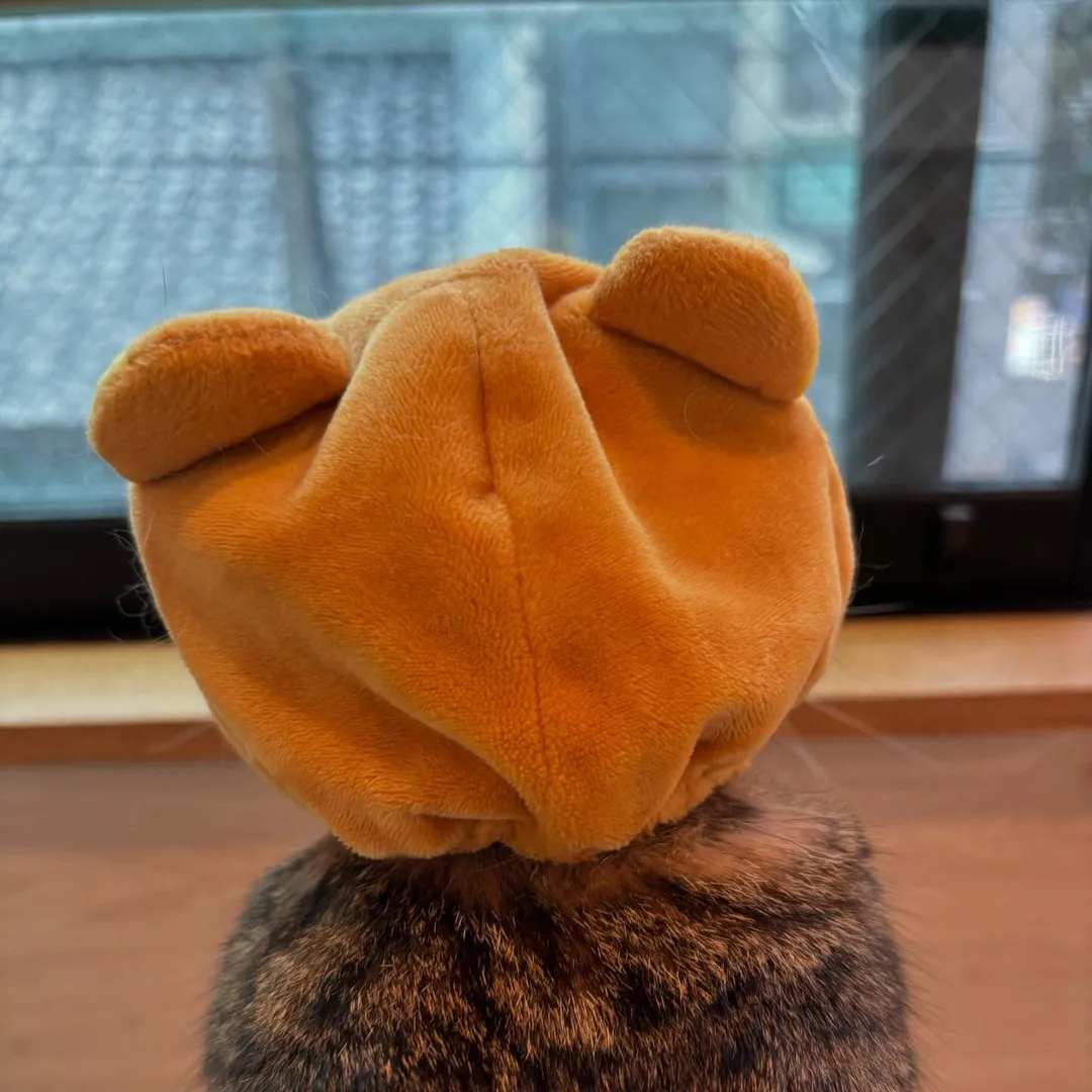 投稿の写真2