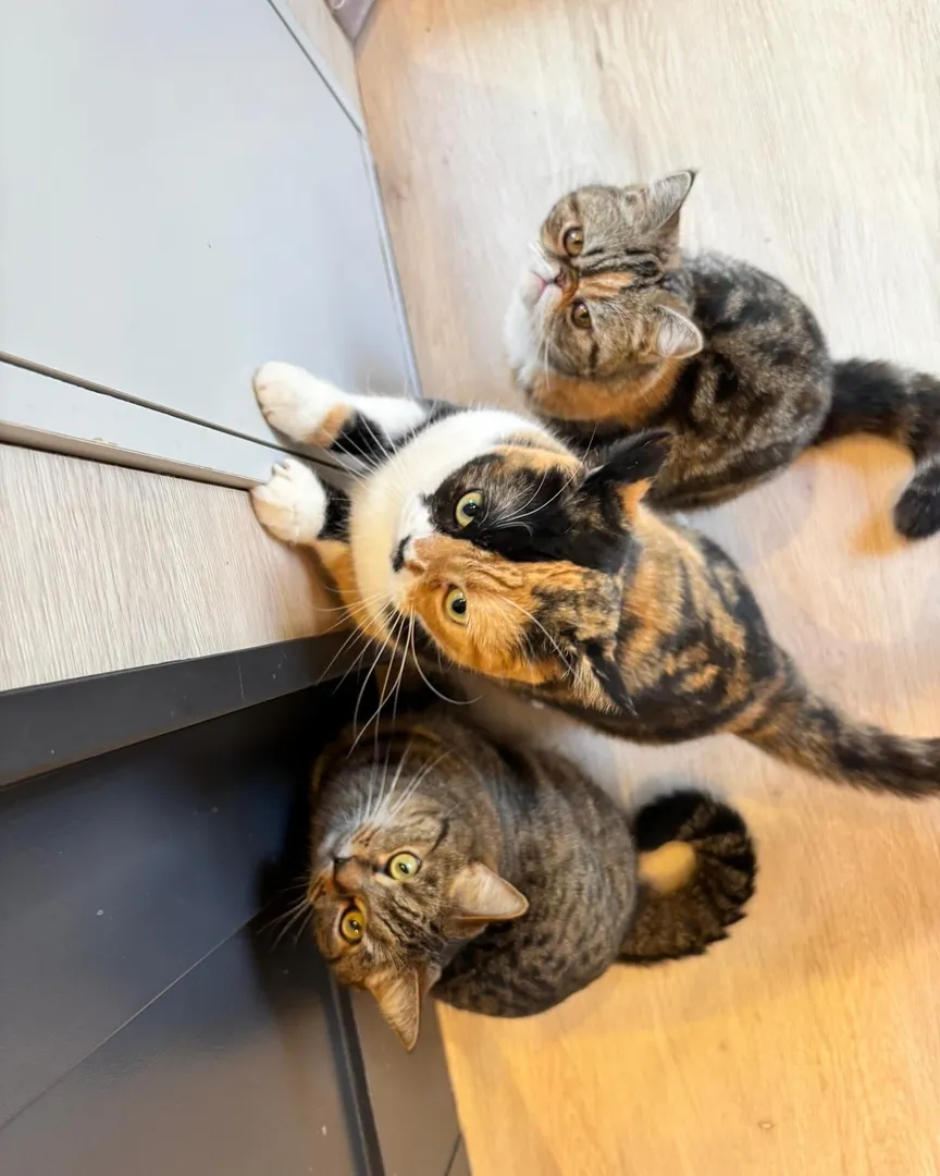 投稿の写真2