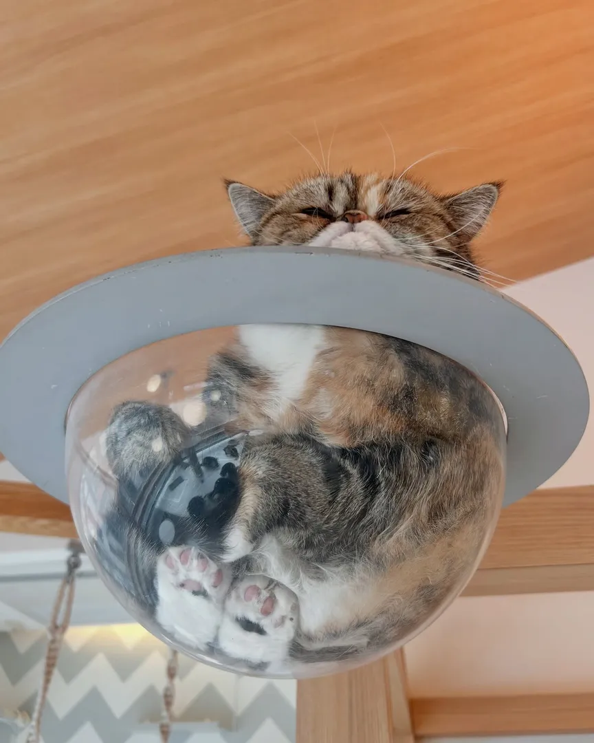 投稿の写真2