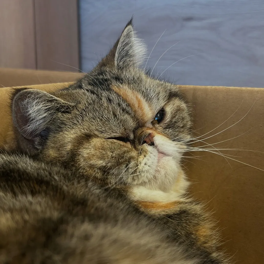投稿の写真5