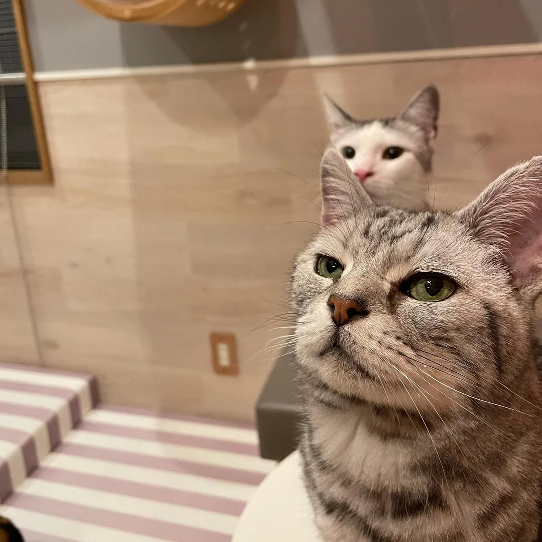 投稿の写真4