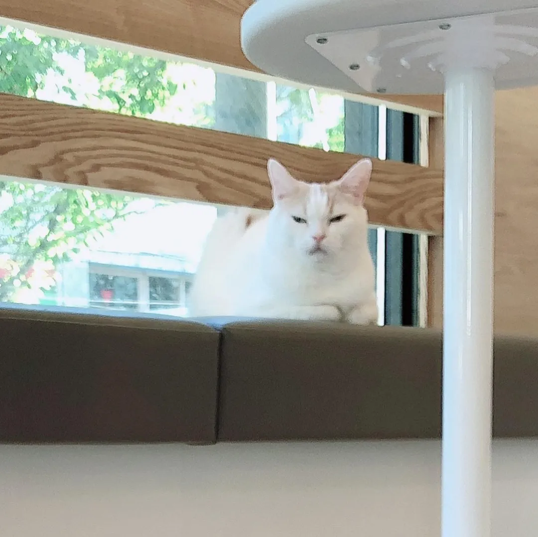 投稿の写真5