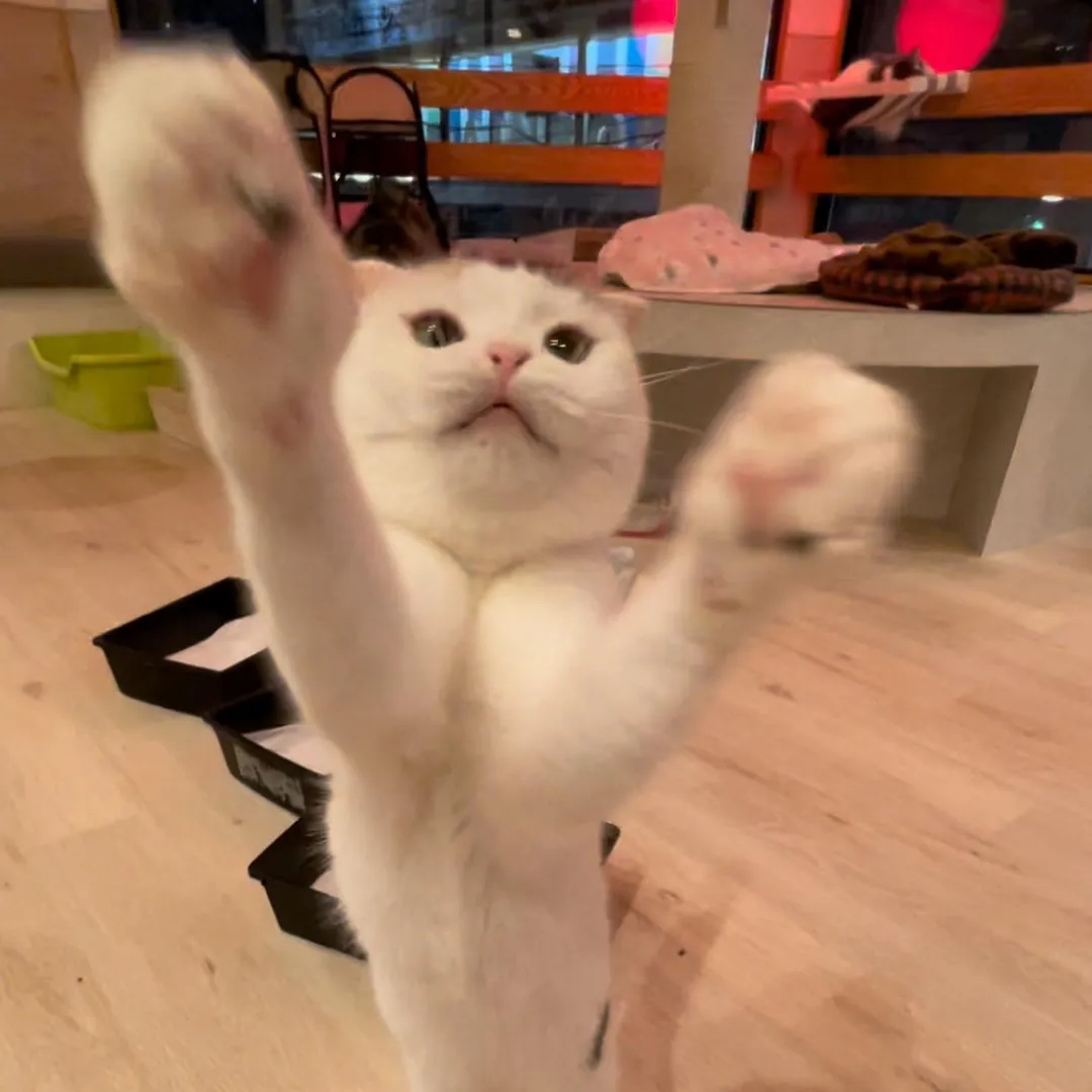 投稿の写真2