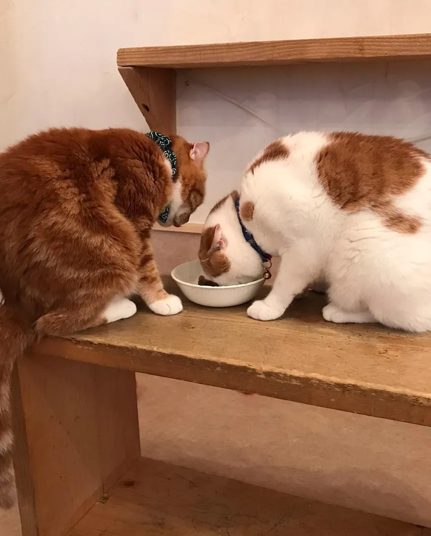投稿の写真6