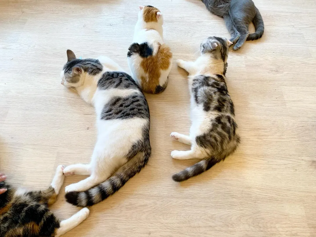 投稿の写真1