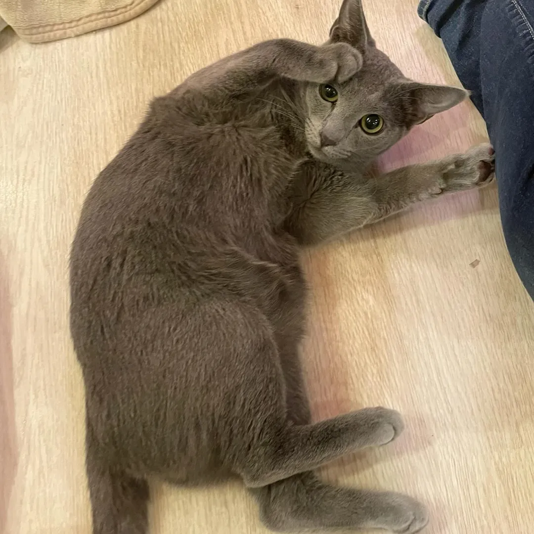 投稿の写真2