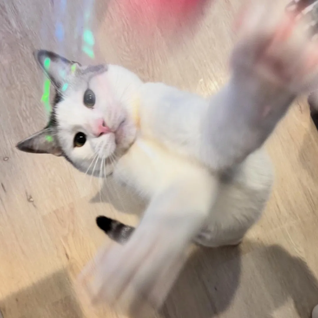 投稿の写真3