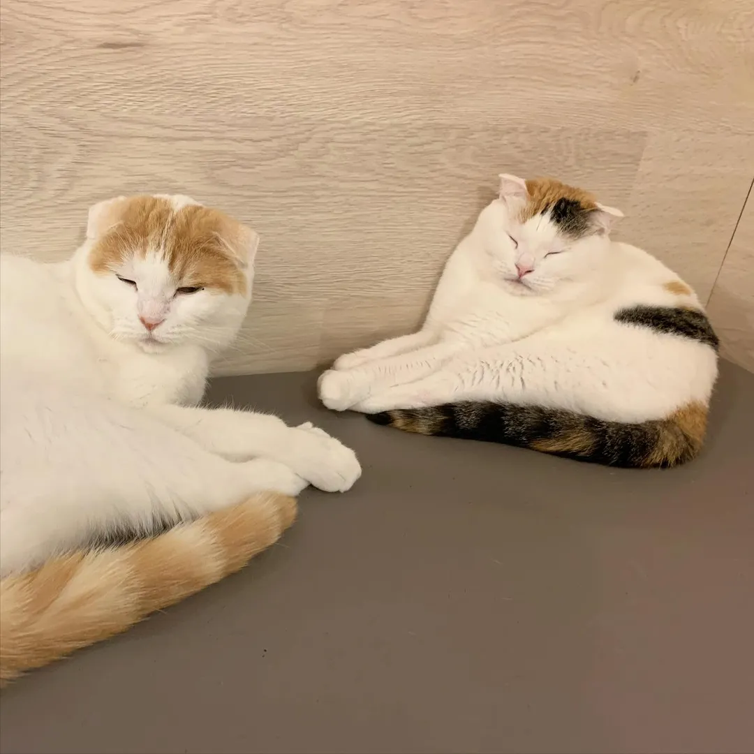 投稿の写真2