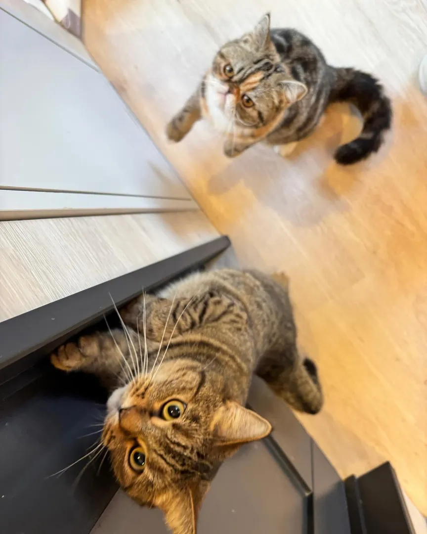 投稿の写真5