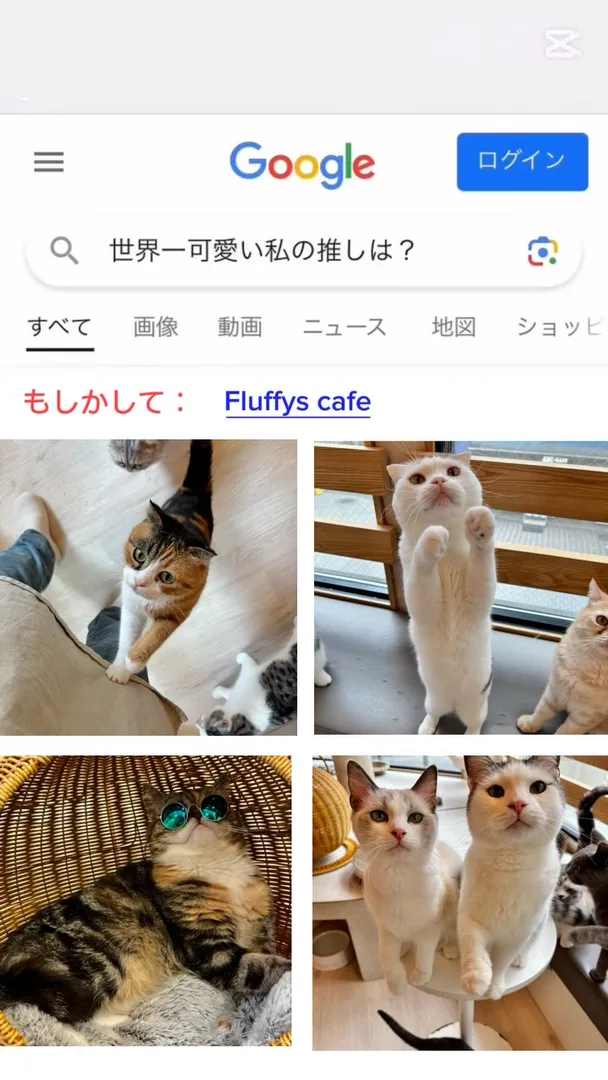 投稿の写真