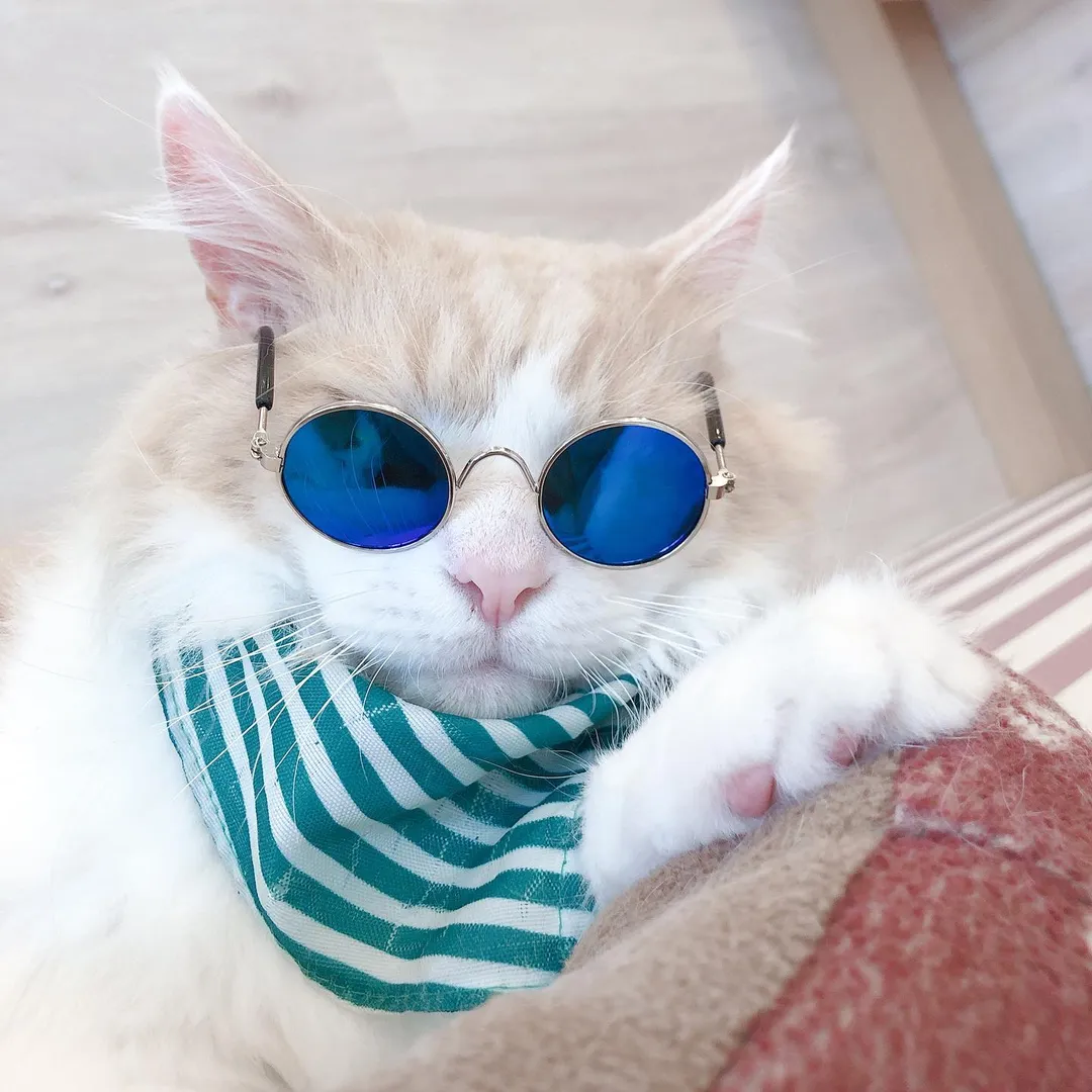 投稿の写真1