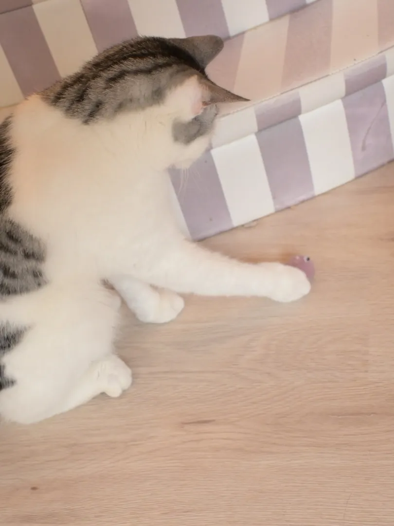 投稿の写真2