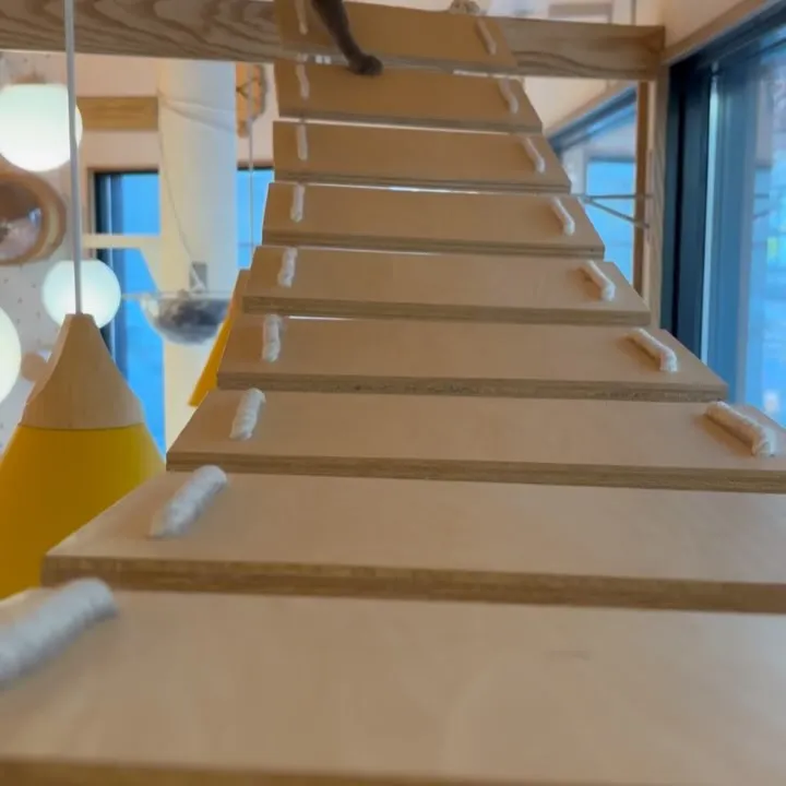 投稿の写真4