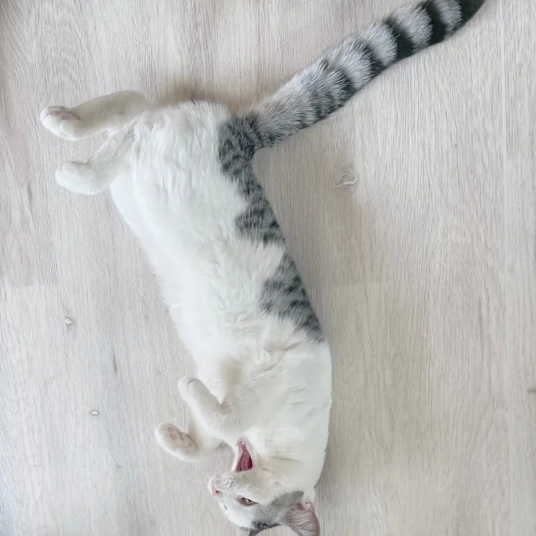 投稿の写真3